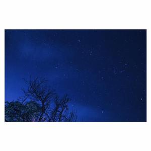 13女洗澡免费看
