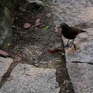 13女洗澡免费看
